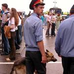 Повсюду снуют дяденьки-милиционеры с собаками, ищут бомбу