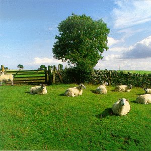 KLF -- Chill Out (Tvt, 1993)