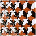 Escher: Metamorphosis II