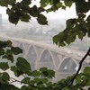 Вид на Молитовский мост
