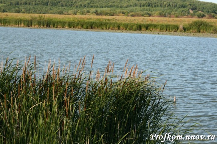 Студенческий лидер 2010. Нижегородский этап_46