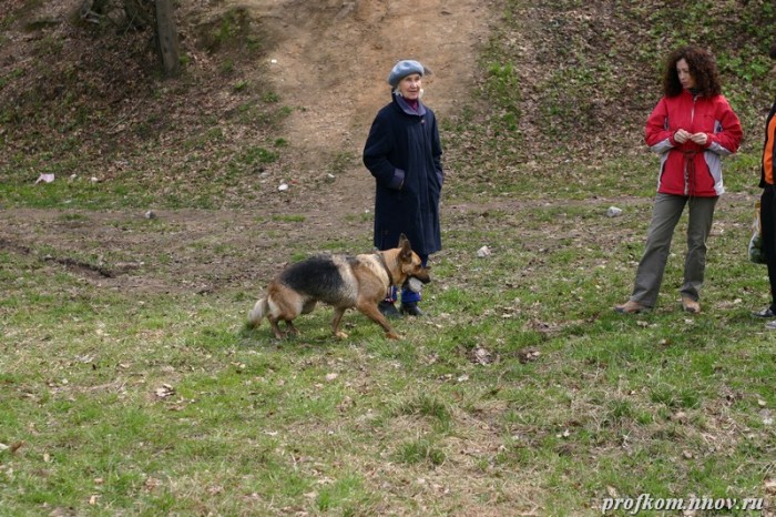 зарница_199