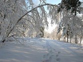 Списки студентов, получивших путевки на зимний отдых 2012