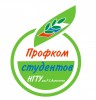 Конференция Профкома студентов НГТУ